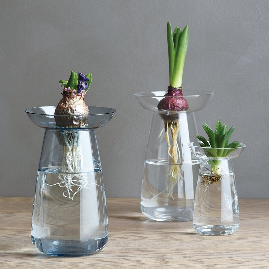 Aqua Culture Vase 120mm - Clear